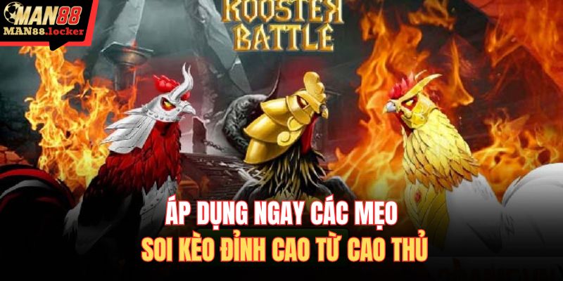 Áp dụng ngay các mẹo soi kèo đỉnh cao từ cao thủ