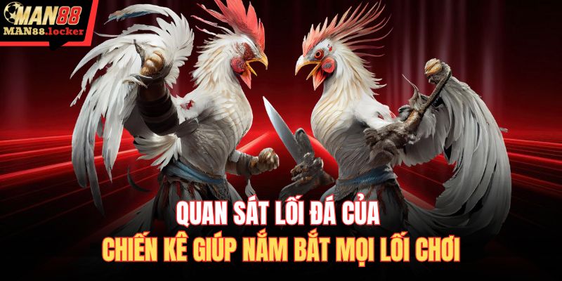 Quan sát lối đá của chiến kê giúp nắm bắt mọi lối chơi